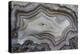 Banded Mexican Agate, Sammamish, WA-Darrell Gulin-Premier Image Canvas