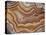 Banded Mexican Agate, Sammamish, WA-Darrell Gulin-Premier Image Canvas