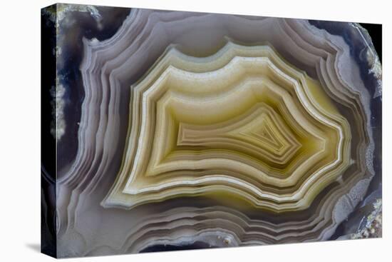 Banded Mexican Agate, Sammamish, WA-Darrell Gulin-Premier Image Canvas