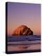 Bandon I-Ike Leahy-Premier Image Canvas