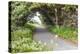 Bandon, Oregon, USA. Evergreen trees creating a tunnel over a path on the Oregon coast.-Emily Wilson-Premier Image Canvas