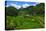 Bangaan in the Rice Terraces of Banaue, Northern Luzon, Philippines-Michael Runkel-Premier Image Canvas