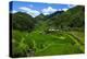 Bangaan in the Rice Terraces of Banaue, Northern Luzon, Philippines-Michael Runkel-Premier Image Canvas