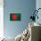 Bangladesh Flag Design with Wood Patterning - Flags of the World Series-Philippe Hugonnard-Stretched Canvas displayed on a wall