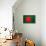 Bangladesh Flag Design with Wood Patterning - Flags of the World Series-Philippe Hugonnard-Stretched Canvas displayed on a wall