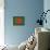 Bangledesh-David Bowman-Premier Image Canvas displayed on a wall