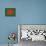 Bangledesh-David Bowman-Premier Image Canvas displayed on a wall