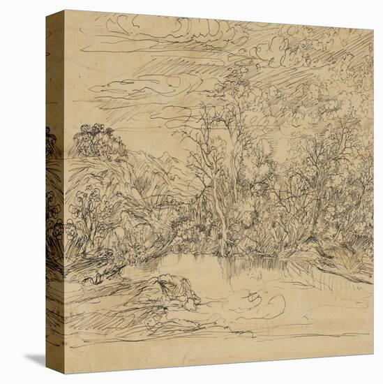 Bank of a Pond-Rodolphe Bresdin-Premier Image Canvas
