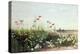 Bank of Summer Flowers-Andrew Nicholl-Premier Image Canvas