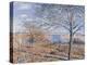 Banks of the Loing - Autumn Effect, 1881-Alfred Sisley-Premier Image Canvas