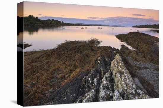 Bantry Bay, County Cork, Munster, Republic of Ireland, Europe-Carsten Krieger-Premier Image Canvas