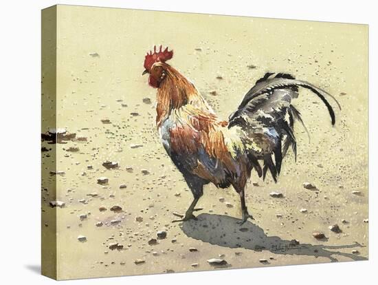 Banty Rooster-LaVere Hutchings-Premier Image Canvas