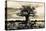 Baobab Tree in Ruaha National Park, Southern Tanzania-Paul Joynson Hicks-Premier Image Canvas