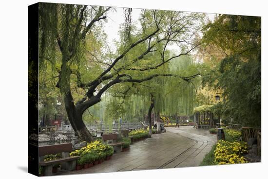 Baotu Spring Park, Jinan, Shandong province, China, Asia-Michael Snell-Premier Image Canvas