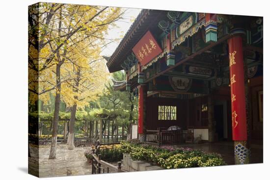 Baotu Spring Park, Jinan, Shandong province, China, Asia-Michael Snell-Premier Image Canvas