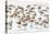 Bar-Tailed Godwit 19-Kurien Yohannan-Premier Image Canvas
