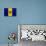 Barbados Flag Design with Wood Patterning - Flags of the World Series-Philippe Hugonnard-Stretched Canvas displayed on a wall