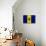 Barbados Flag Design with Wood Patterning - Flags of the World Series-Philippe Hugonnard-Stretched Canvas displayed on a wall