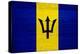 Barbados Flag Design with Wood Patterning - Flags of the World Series-Philippe Hugonnard-Stretched Canvas