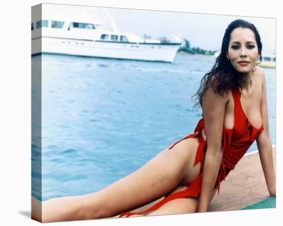 Barbara Carrera - Never Say Never Again-null-Stretched Canvas