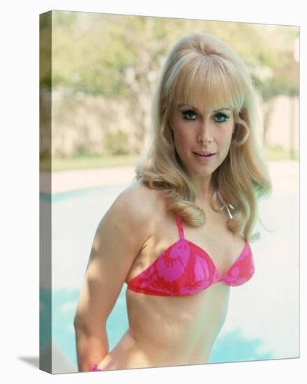 Barbara Eden-null-Stretched Canvas