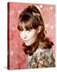 Barbara Feldon - Get Smart-null-Stretched Canvas