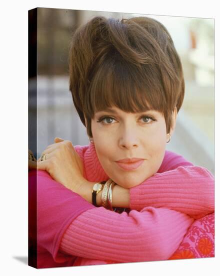 Barbara Feldon - Get Smart-null-Stretched Canvas