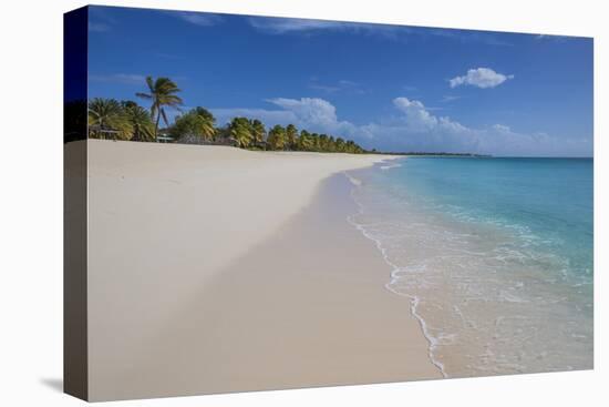 Barbuda, Antigua and Barbuda, Leeward Islands, West Indies-Roberto Moiola-Premier Image Canvas