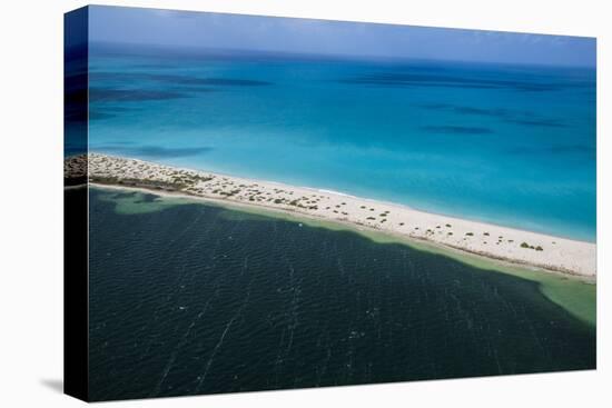 Barbuda, Antigua and Barbuda, Leeward Islands, West Indies-Roberto Moiola-Premier Image Canvas