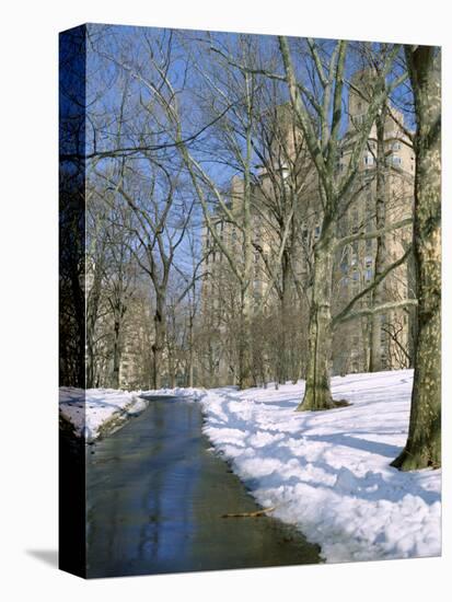 Bare Trees and Snow in Winter in Central Park, Manhattan, New York City, USA-David Lomax-Premier Image Canvas