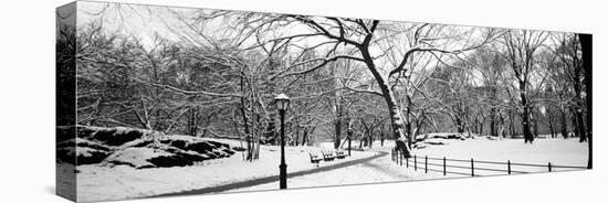 Bare Trees During Winter in a Park, Central Park, Manhattan, New York City, New York State, USA-null-Stretched Canvas