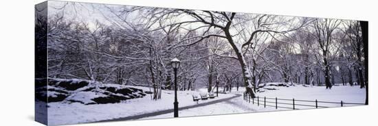 Bare Trees During Winter in Central Park, Manhattan, New York City, New York, USA-null-Premier Image Canvas