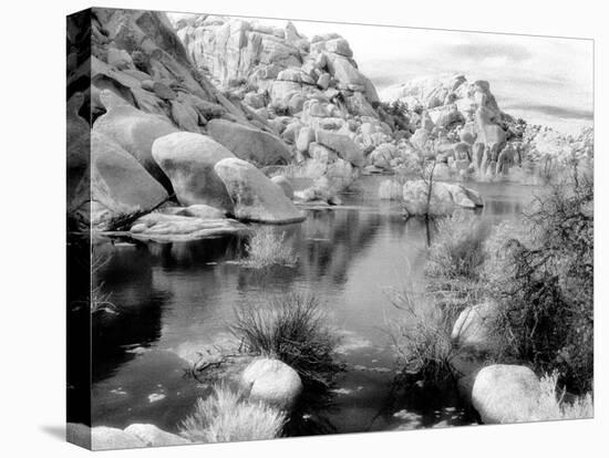 Barker Dam, Joshua Tree National Park, California, USA-Janell Davidson-Premier Image Canvas