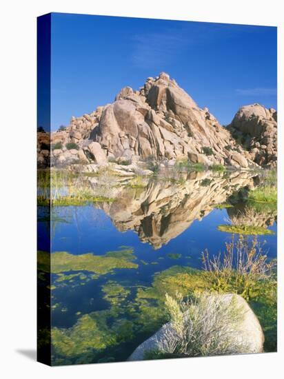 Barker Dam, Joshua Tree National Park, California, USA-Rob Tilley-Premier Image Canvas