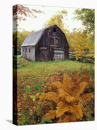 Barn and Fall Colors near Jericho Center, Vermont, USA-Darrell Gulin-Premier Image Canvas