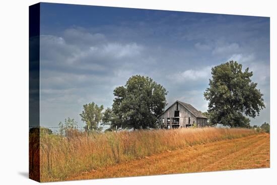 Barn and Field, Missouri, USA-Michael Scheufler-Premier Image Canvas