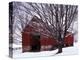 Barn and Maple after winter storm, Fairfax County, Virginia, USA-Charles Gurche-Premier Image Canvas