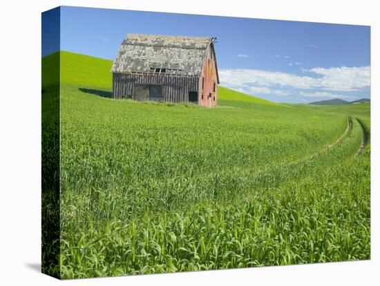 Barn and Vehicle Tracks in Wheat Field in Idaho-Darrell Gulin-Premier Image Canvas