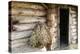 Barn Exterior, Varska, Estonia, Baltic States-Nico Tondini-Premier Image Canvas