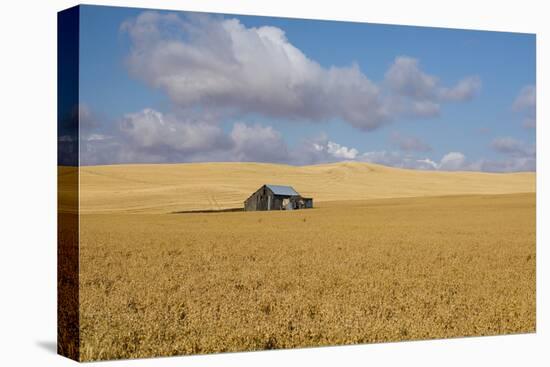 Barn in a field, Moscow, Idaho, USA-Panoramic Images-Premier Image Canvas