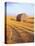 Barn in Harvested Field-Terry Eggers-Premier Image Canvas