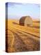 Barn in Harvested Field-Terry Eggers-Premier Image Canvas