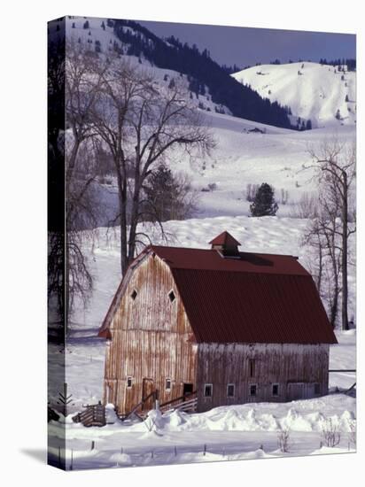 Barn in Winter, Methow Valley, Washington, USA-William Sutton-Premier Image Canvas