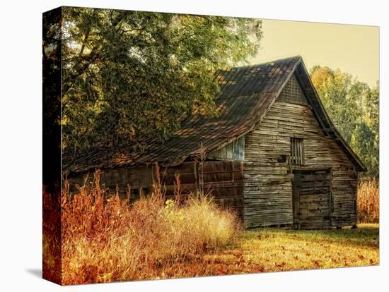 Barn Loft Memories-Danny Head-Stretched Canvas