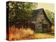 Barn Loft Memories-Danny Head-Stretched Canvas