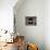 Barn Owl Flying into Building Through Window Carrying Mouse Prey, Girona, Spain-Inaki Relanzon-Premier Image Canvas displayed on a wall