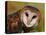 Barn Owl Portrait-Lynn M. Stone-Premier Image Canvas