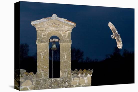 Barn Owl (Tyto Alba) Flying over a Church in Pitigliano, Tuscany, Italy-Angelo Gandolfi-Premier Image Canvas