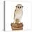 Barn Owl with Books Wearing Glasses-Andy and Clare Teare-Premier Image Canvas