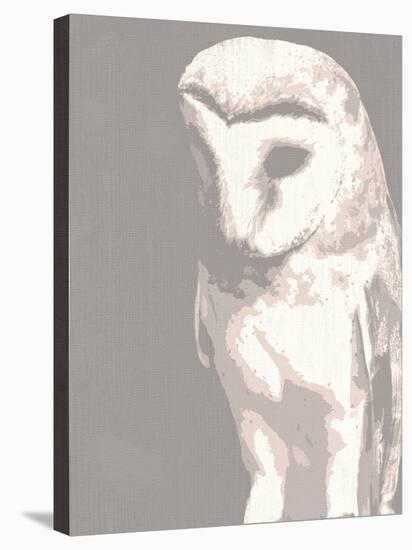 Barn Owl-Sasha Blake-Stretched Canvas